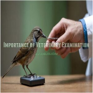 Importance of Veterinary Examination