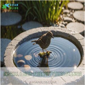 Install a Bird-Friendly Water Feature