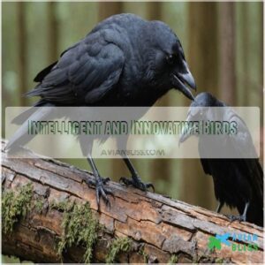 Intelligent and Innovative Birds