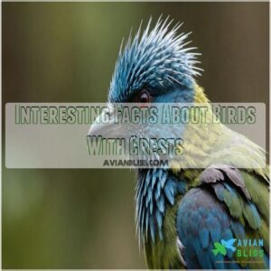 Interesting Facts About Birds With Crests