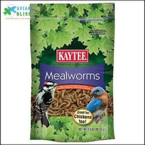 Kaytee Wild Bird Food Mealworms