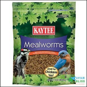 Kaytee Wild Bird Food Mealworms