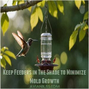 Keep Feeders in The Shade to Minimize Mold Growth