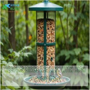 Keeping Birds Healthy With High Protein Food