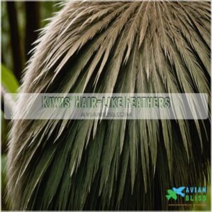 Kiwis’ Hair-like Feathers