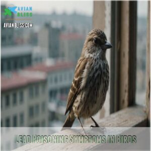 Lead Poisoning Symptoms in Birds