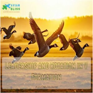 Leadership and Rotation in V Formation