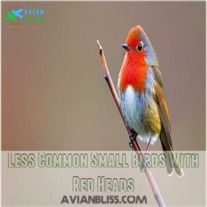 Less Common Small Birds With Red Heads