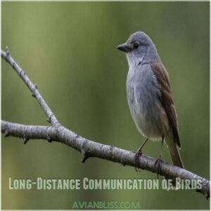 Long-Distance Communication of Birds