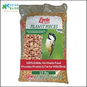 Lyric Peanut Pieces Wild Bird