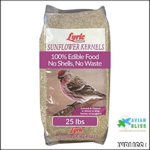 Lyric Sunflower Kernels Wild Bird