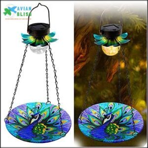 MAGGIFT Solar Powered Bird Bath