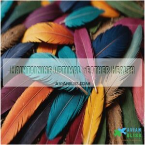 Maintaining Optimal Feather Health