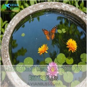 Maintaining Your Bird Bath for Butterflies