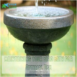 Maintaining Your Bird Bath for Optimal Use