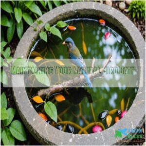 Maintaining Your Natural Bird Bath