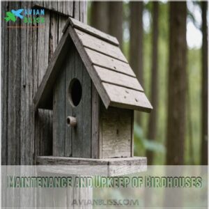 Maintenance and Upkeep of Birdhouses