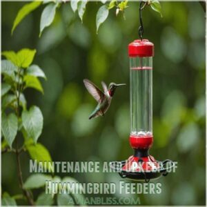 Maintenance and Upkeep of Hummingbird Feeders