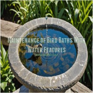 Maintenance of Bird Baths With Water Features