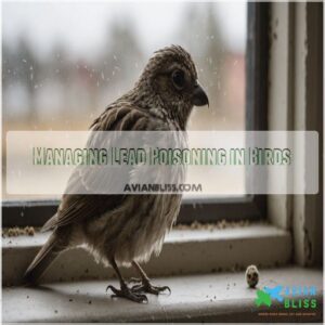 Managing Lead Poisoning in Birds