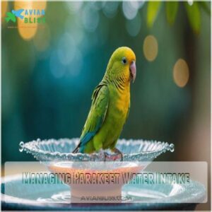 Managing Parakeet Water Intake