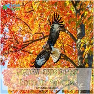 Michigan Birds of Prey Migration Patterns