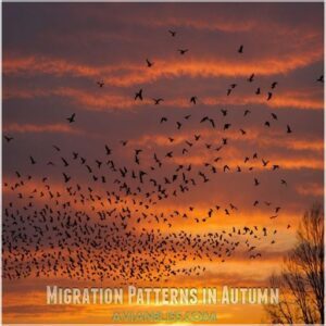 Migration Patterns in Autumn