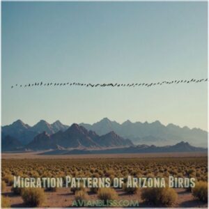 Migration Patterns of Arizona Birds