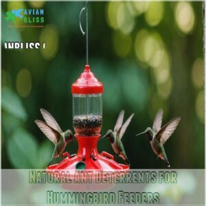 Natural Ant Deterrents for Hummingbird Feeders