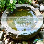 natural bird bath materials