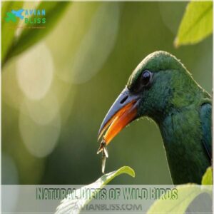 Natural Diets of Wild Birds