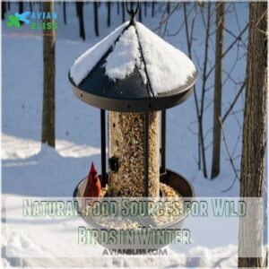 Natural Food Sources for Wild Birds in Winter