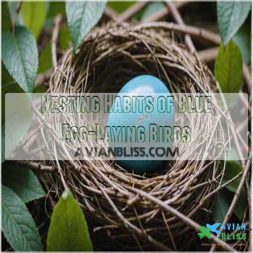 Nesting Habits of Blue Egg-Laying Birds