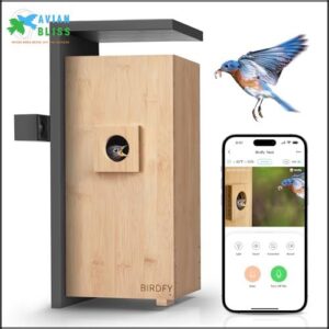 NETVUE Birdfy® Nest - Smart