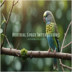 Neutral Space Interactions