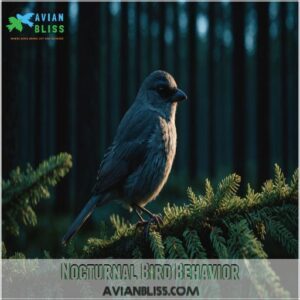 Nocturnal Bird Behavior