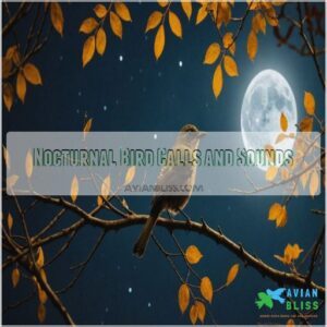 Nocturnal Bird Calls and Sounds