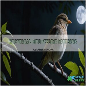 Nocturnal Bird Feeding Patterns