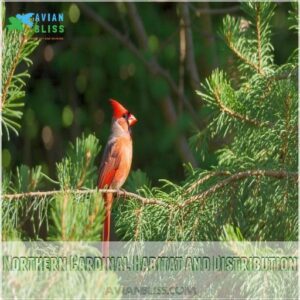 Northern Cardinal Habitat and Distribution