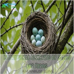 Nutritional Benefits of Seeds for Birds