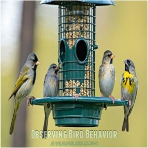 Observing Bird Behavior