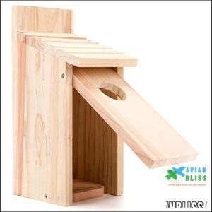 Oceek Cedar Blue Bird Box