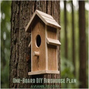 One-Board DIY Birdhouse Plan