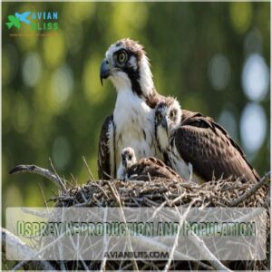 Osprey Reproduction and Population