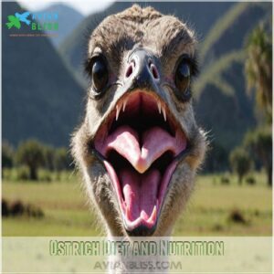 Ostrich Diet and Nutrition