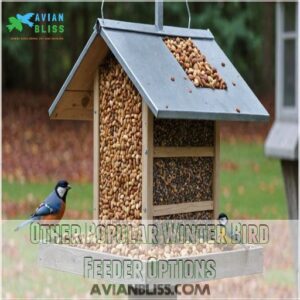 Other Popular Winter Bird Feeder Options