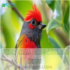 Other Small Birds With Red Heads