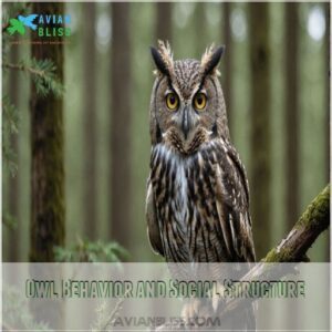 Owl Behavior and Social Structure