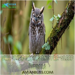 Owl Sleep Habits and Pre-Sleep Rituals