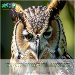 Owl Sleep Patterns and Adaptations